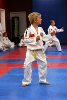 Tae Kwan Do
