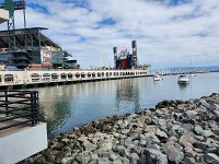 SF Giants  Baseball Game